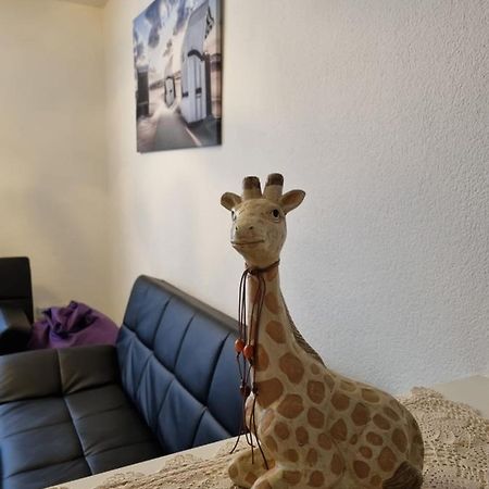 Monteurwohnung App 5 Pirmasens Esterno foto